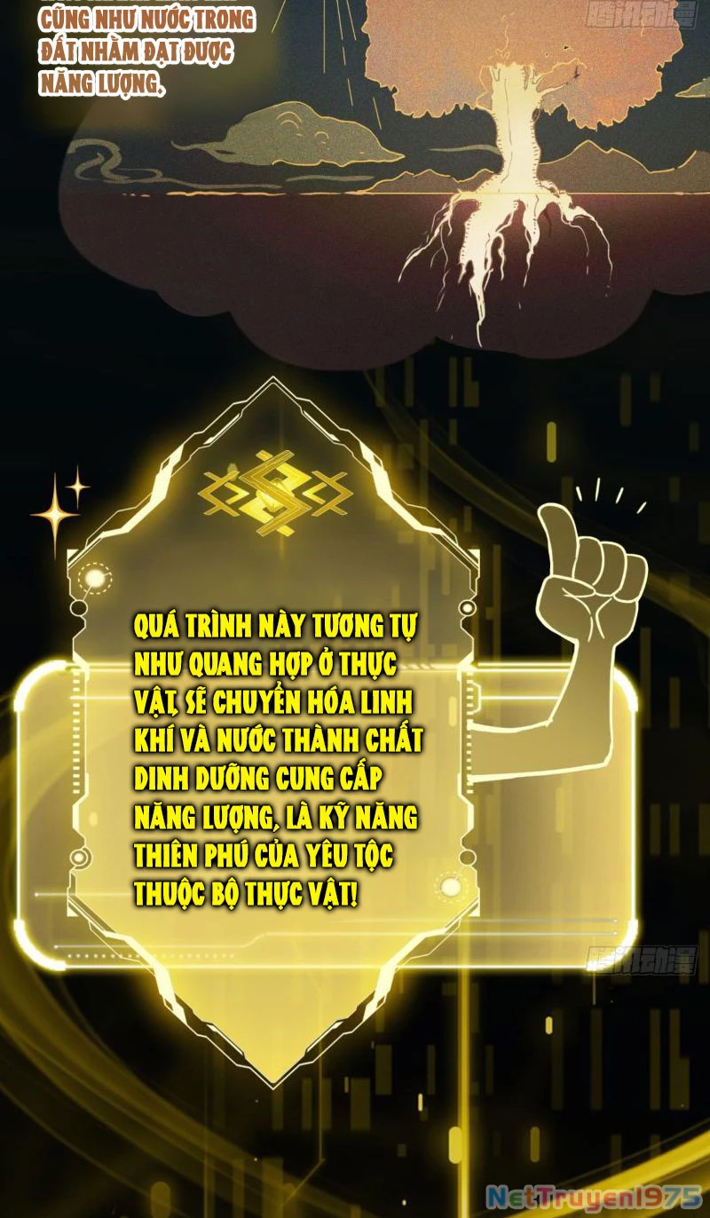 Đừng Xem Thường Một Củ Cải Chapter 3 - 13