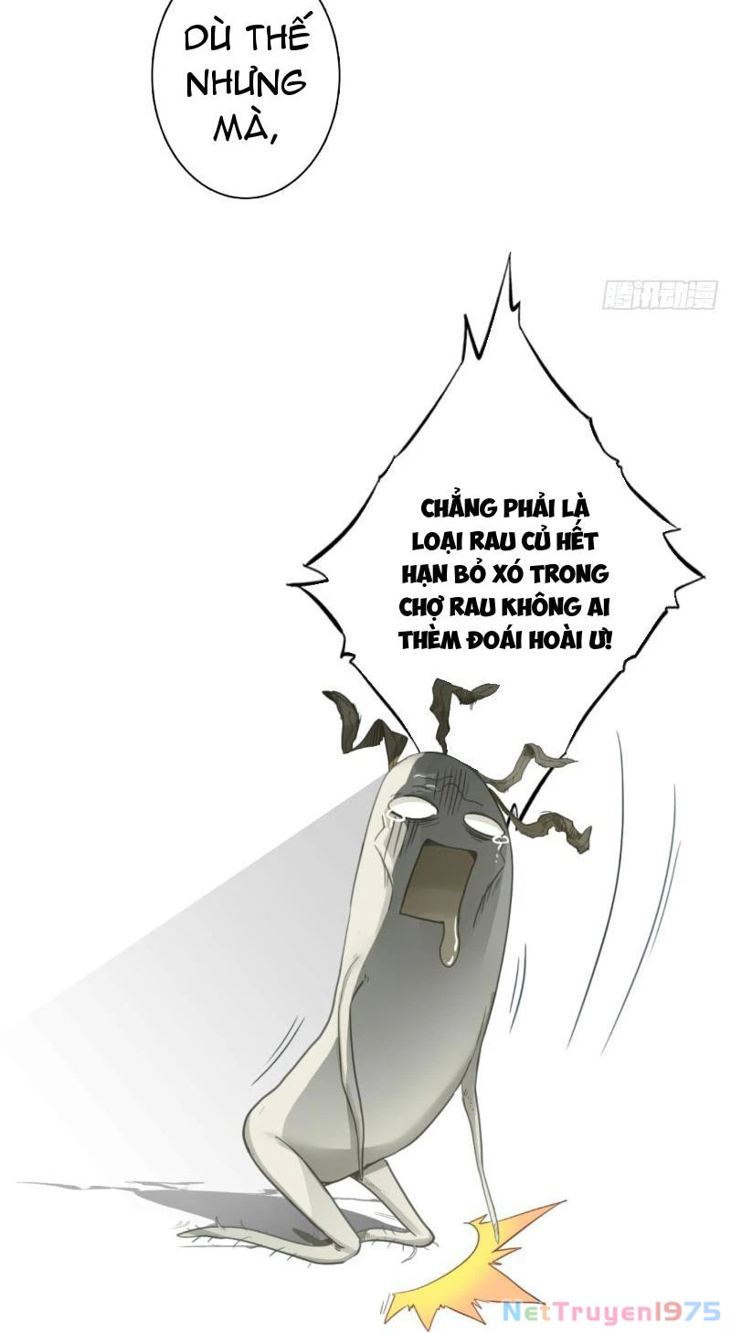 Đừng Xem Thường Một Củ Cải Chapter 3 - 30