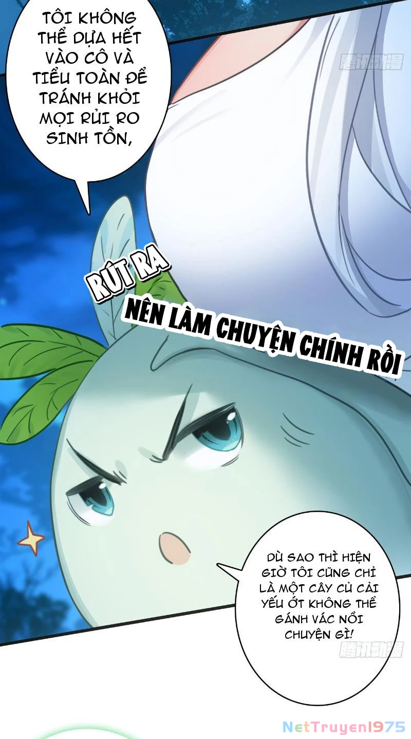 Đừng Xem Thường Một Củ Cải Chapter 4 - 12