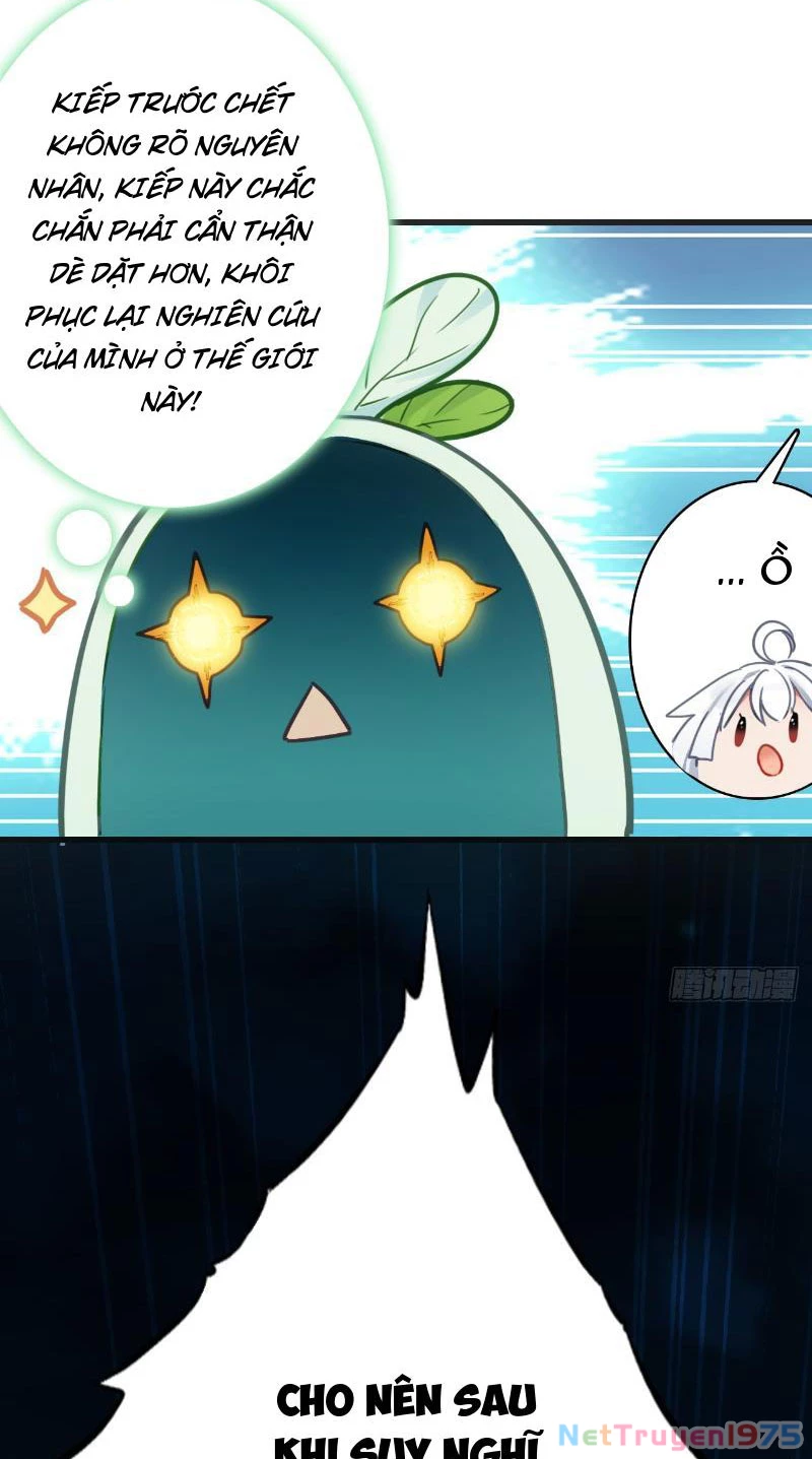 Đừng Xem Thường Một Củ Cải Chapter 4 - 13