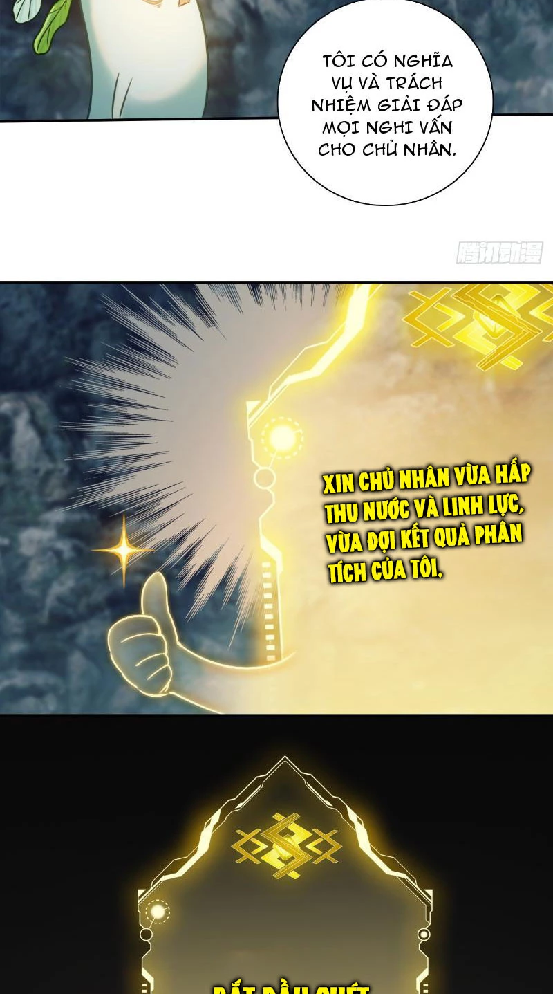 Đừng Xem Thường Một Củ Cải Chapter 5 - 13