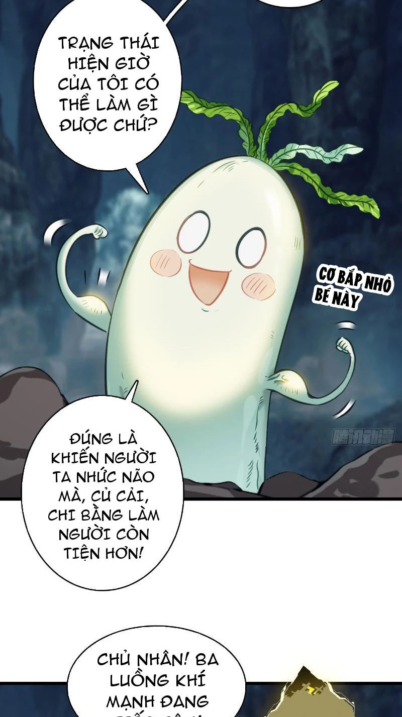 Đừng Xem Thường Một Củ Cải Chapter 5 - 32