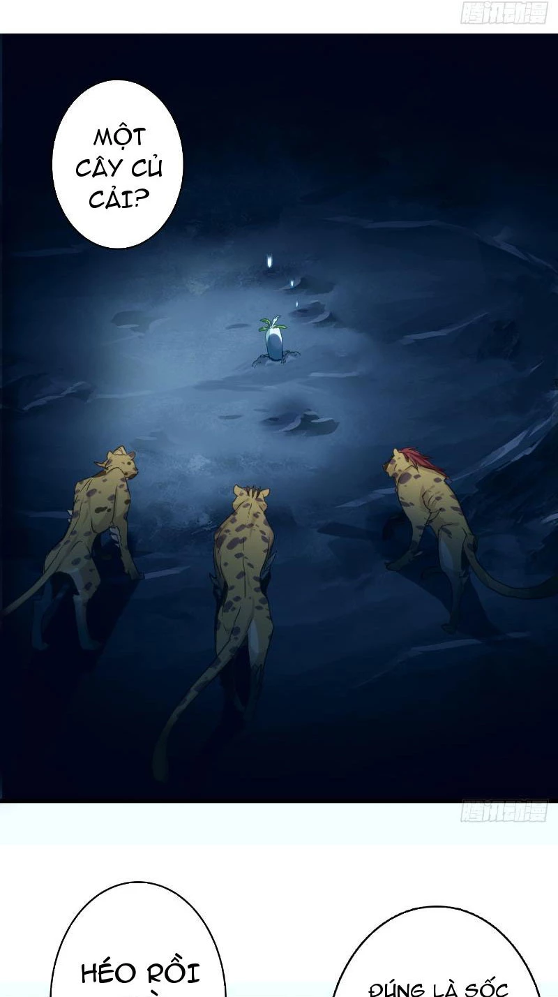 Đừng Xem Thường Một Củ Cải Chapter 5 - 38