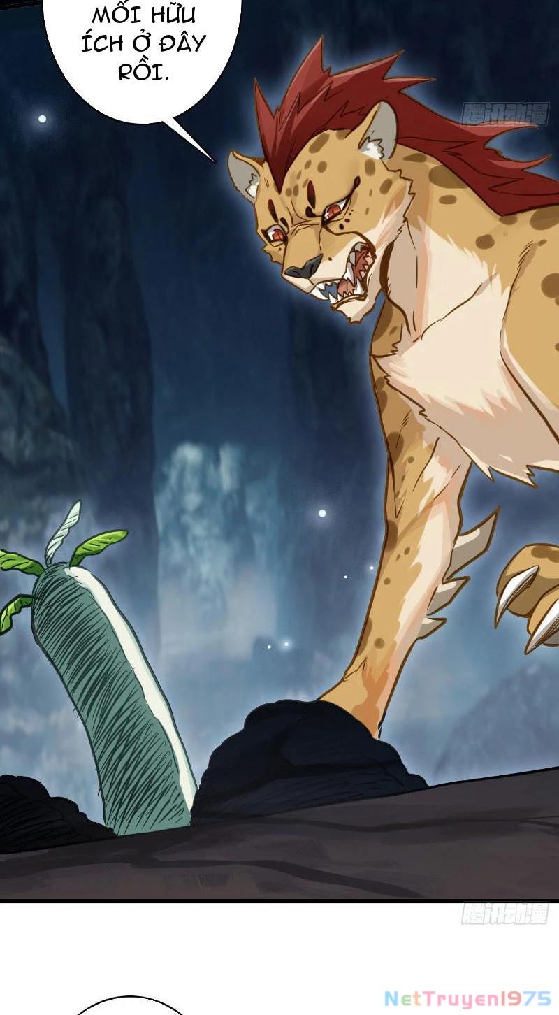 Đừng Xem Thường Một Củ Cải Chapter 5 - 48