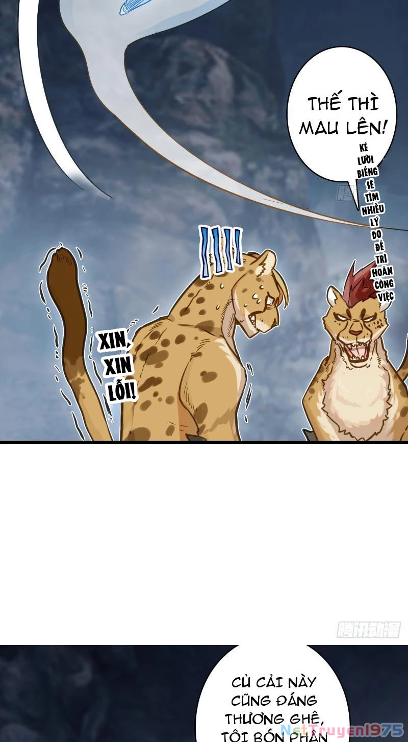Đừng Xem Thường Một Củ Cải Chapter 5 - 51