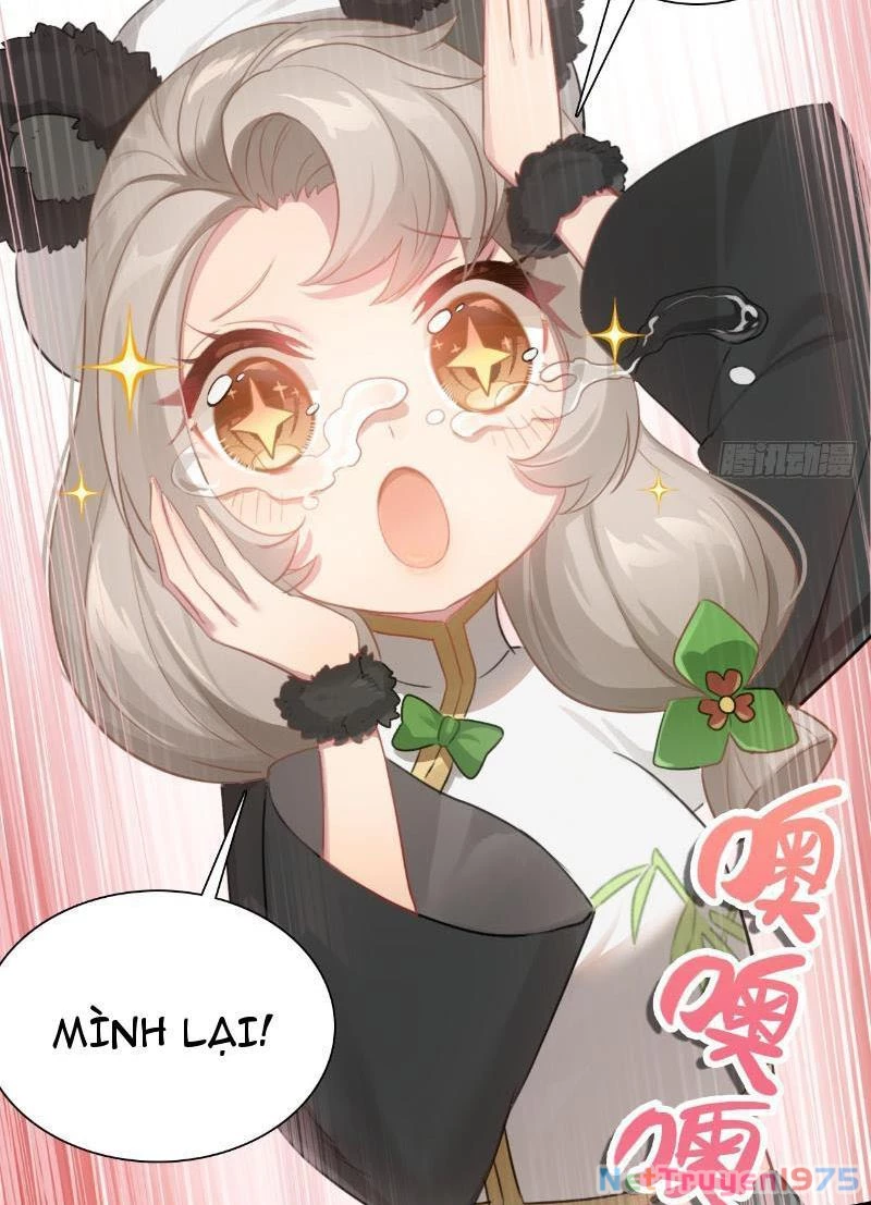 Đừng Xem Thường Một Củ Cải Chapter 8 - 74