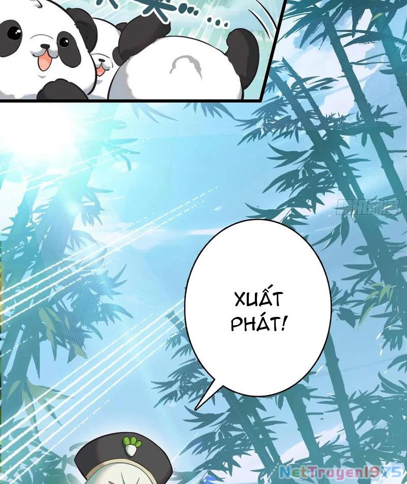 Đừng Xem Thường Một Củ Cải Chapter 11 - 13