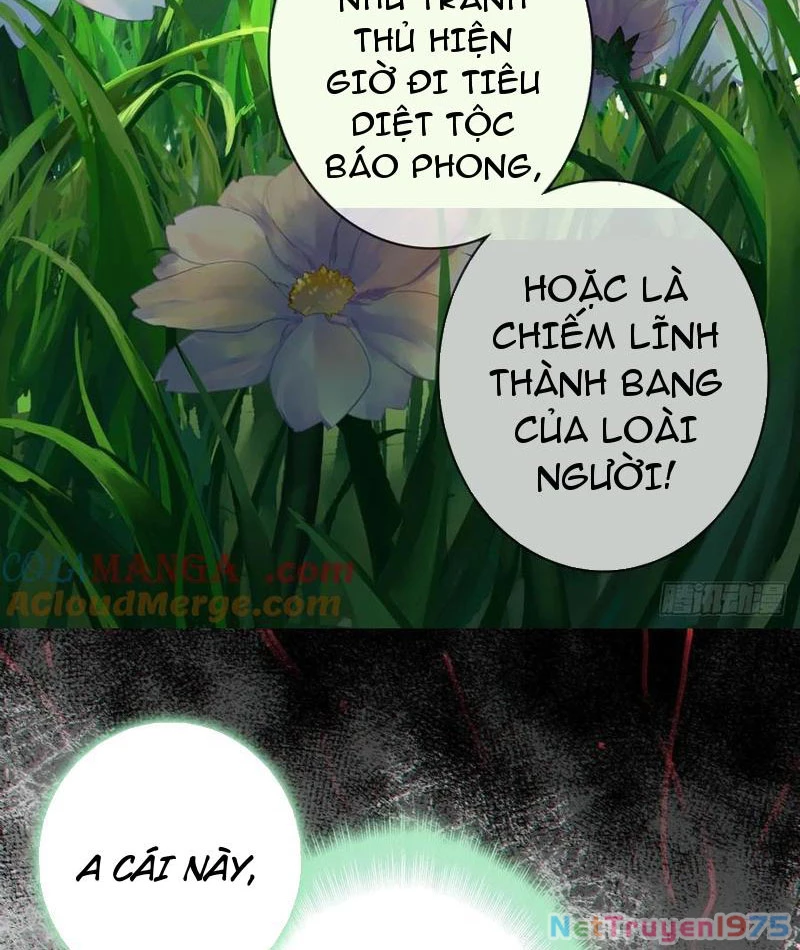 Đừng Xem Thường Một Củ Cải Chapter 11 - 26