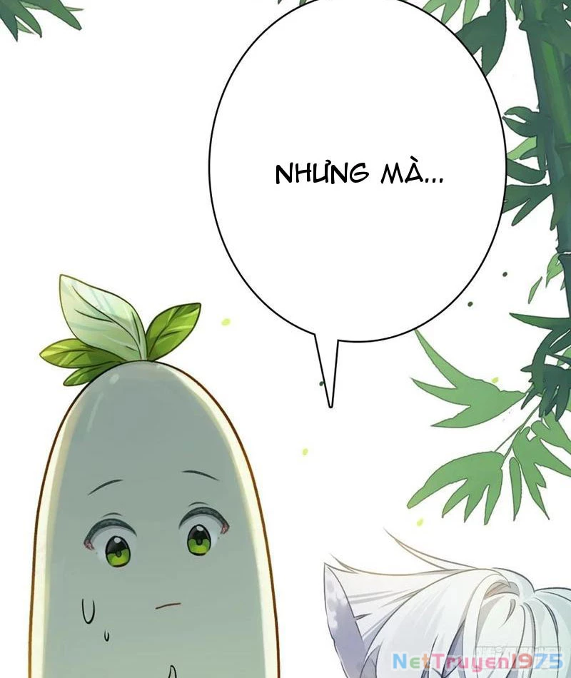 Đừng Xem Thường Một Củ Cải Chapter 11 - 29