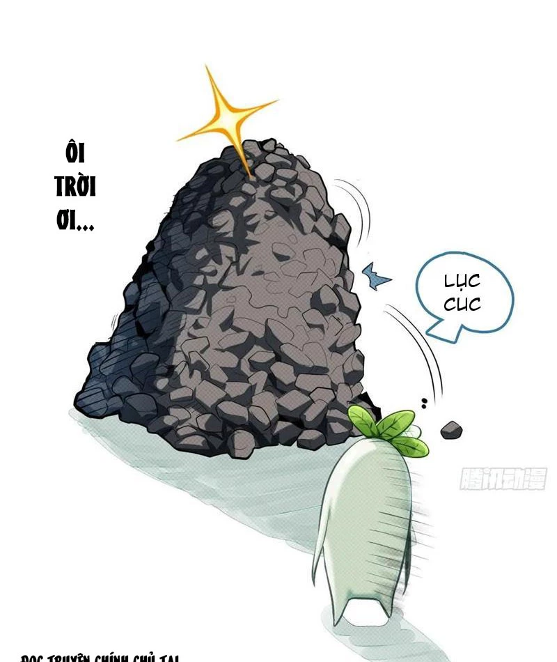 Đừng Xem Thường Một Củ Cải Chapter 11 - 65