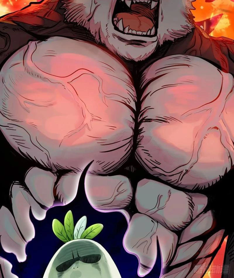 Đừng Xem Thường Một Củ Cải Chapter 11 - 67