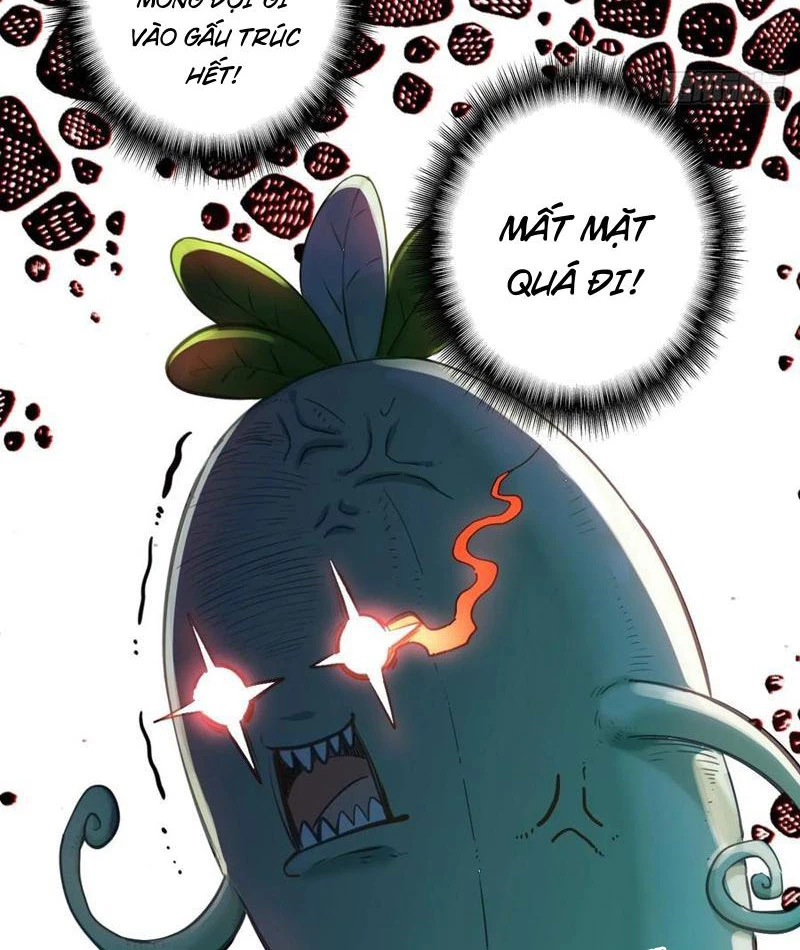 Đừng Xem Thường Một Củ Cải Chapter 11 - 69