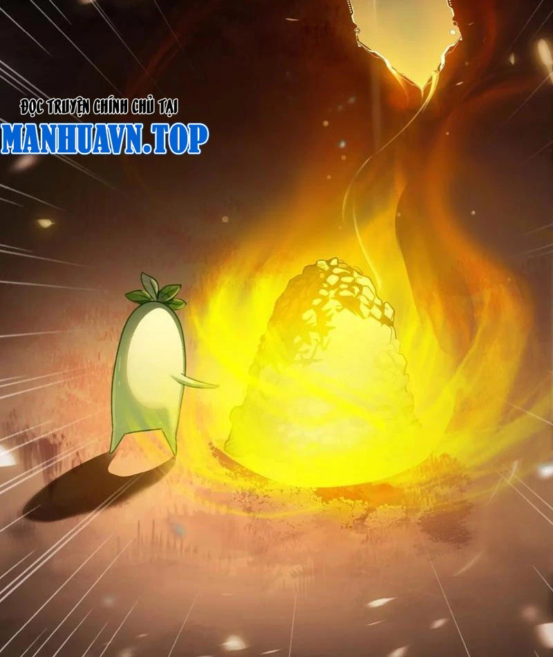 Đừng Xem Thường Một Củ Cải Chapter 11 - 78