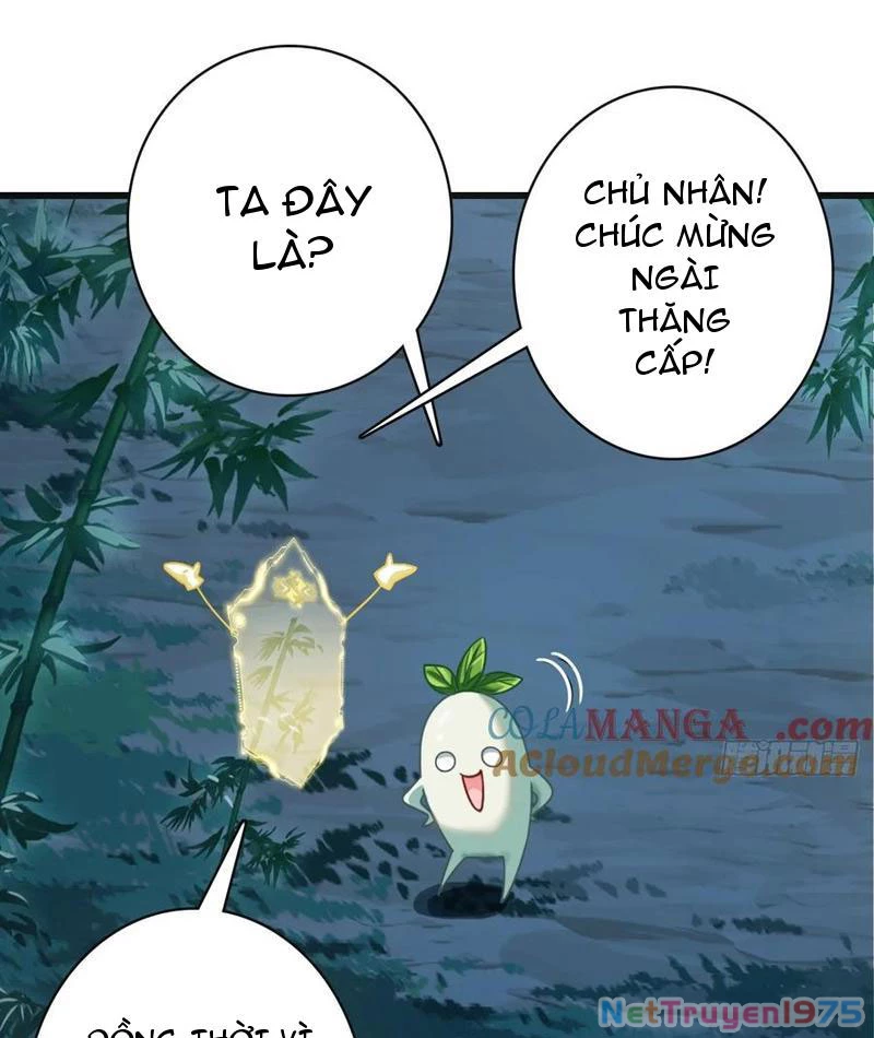 Đừng Xem Thường Một Củ Cải Chapter 12 - 5