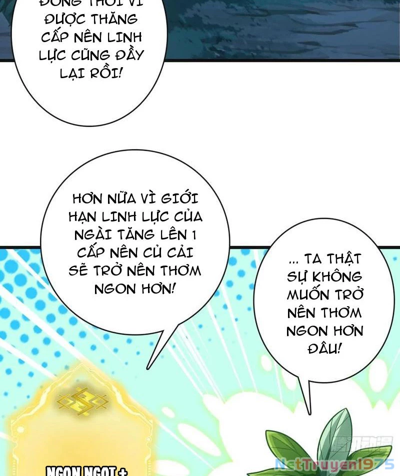 Đừng Xem Thường Một Củ Cải Chapter 12 - 6