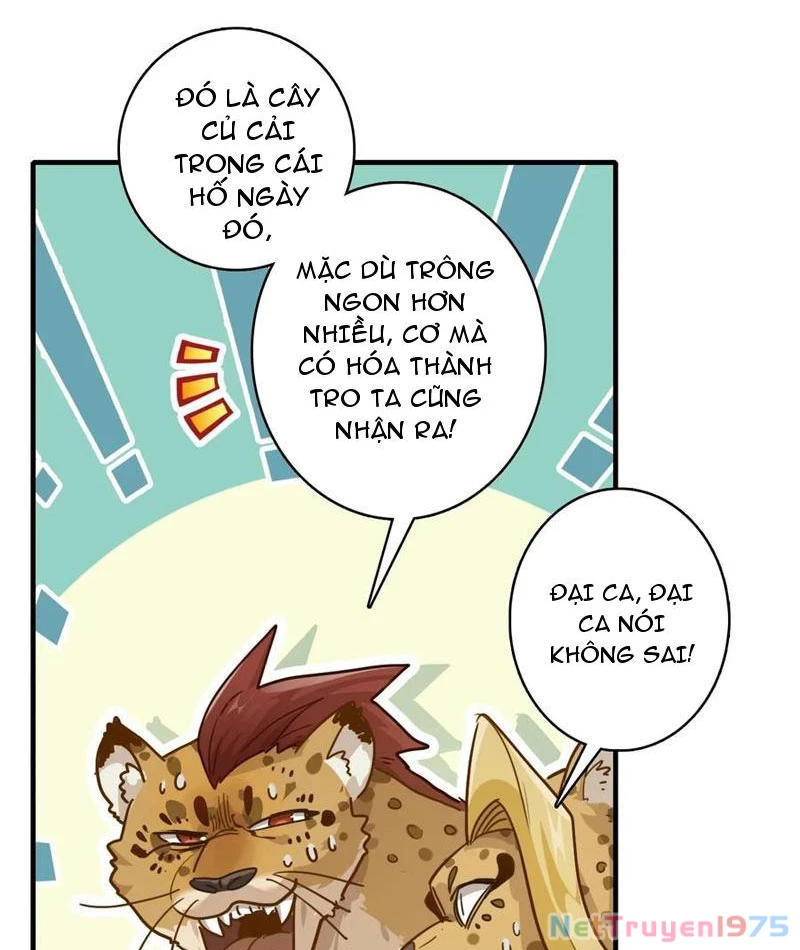 Đừng Xem Thường Một Củ Cải Chapter 12 - 65