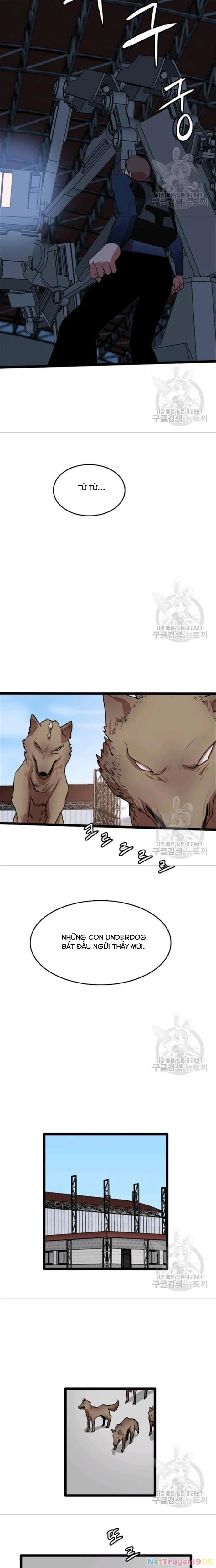 Tôi Nhặt Được Điện Thoại Từ Thế Giới Khác Chapter 81 - 15
