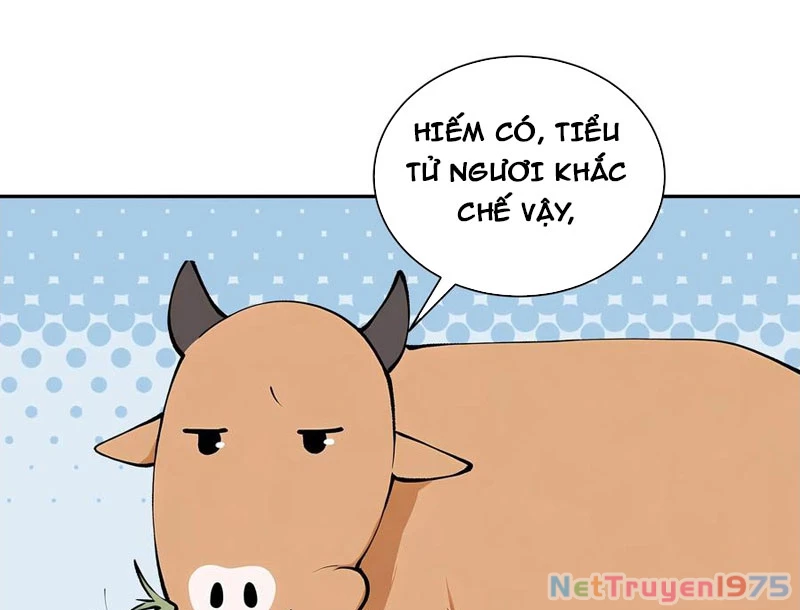 Bách Thê Phổ: Thánh nữ đều gọi ta là phu quân Chapter 52 - 9
