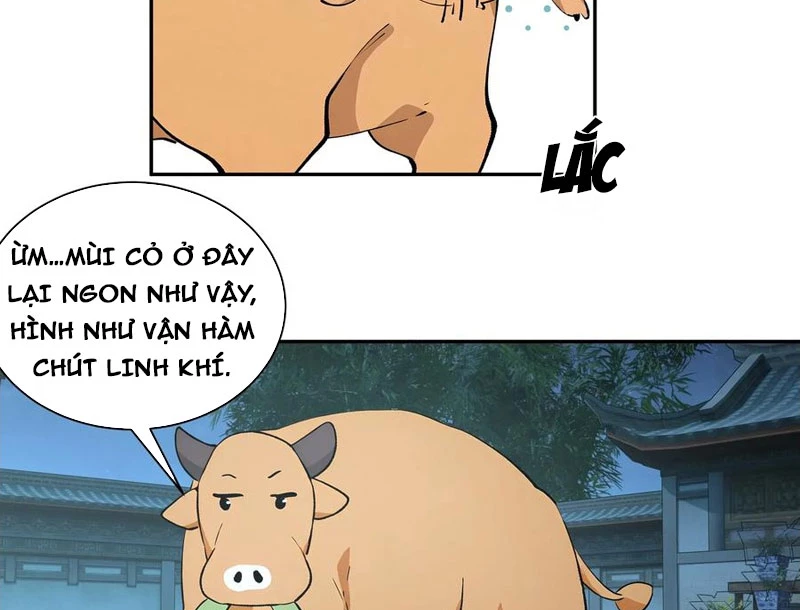 Bách Thê Phổ: Thánh nữ đều gọi ta là phu quân Chapter 52 - 18
