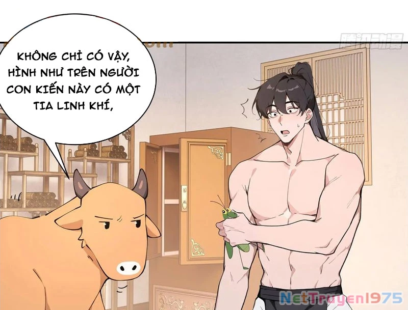 Bách Thê Phổ: Thánh nữ đều gọi ta là phu quân Chapter 52 - 35