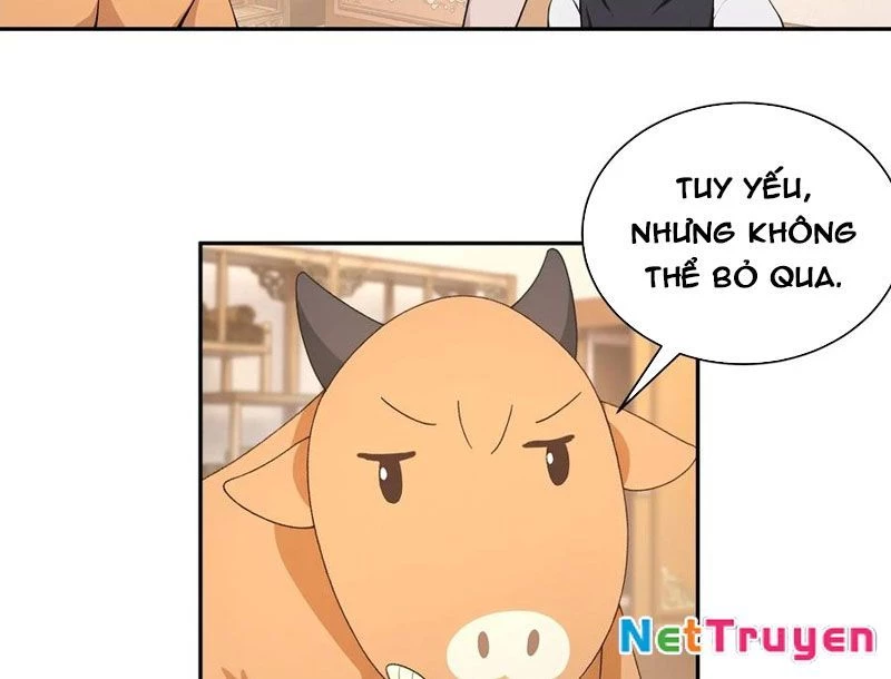 Bách Thê Phổ: Thánh nữ đều gọi ta là phu quân Chapter 52 - 36