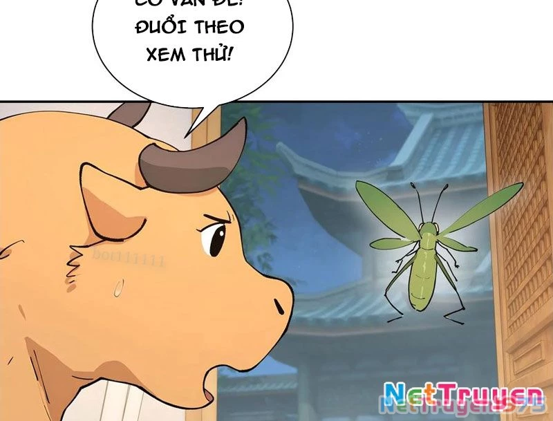 Bách Thê Phổ: Thánh nữ đều gọi ta là phu quân Chapter 52 - 41