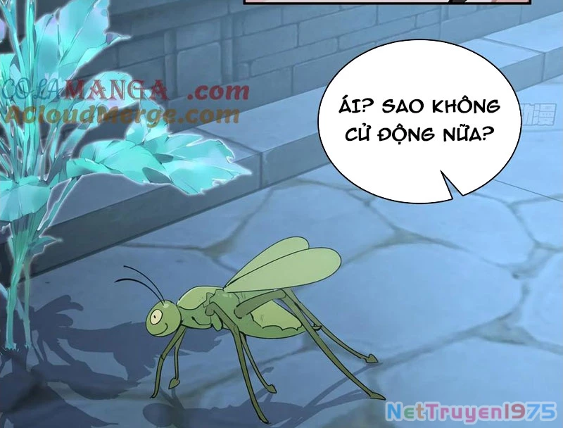 Bách Thê Phổ: Thánh nữ đều gọi ta là phu quân Chapter 52 - 48