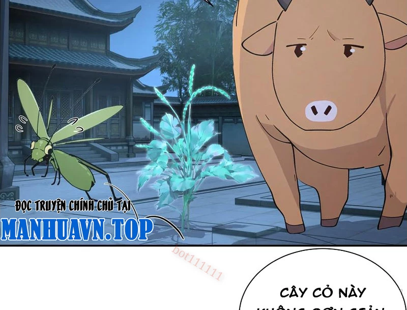 Bách Thê Phổ: Thánh nữ đều gọi ta là phu quân Chapter 52 - 52
