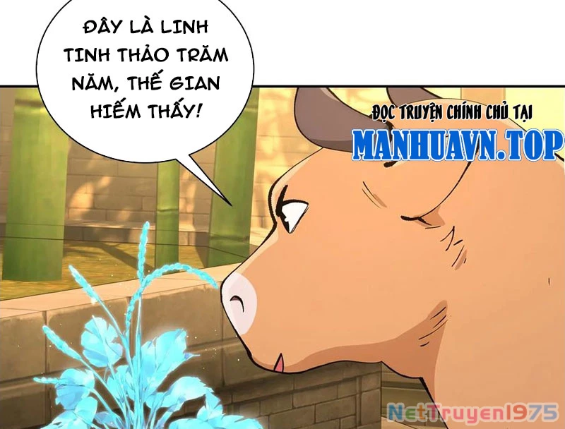 Bách Thê Phổ: Thánh nữ đều gọi ta là phu quân Chapter 52 - 67