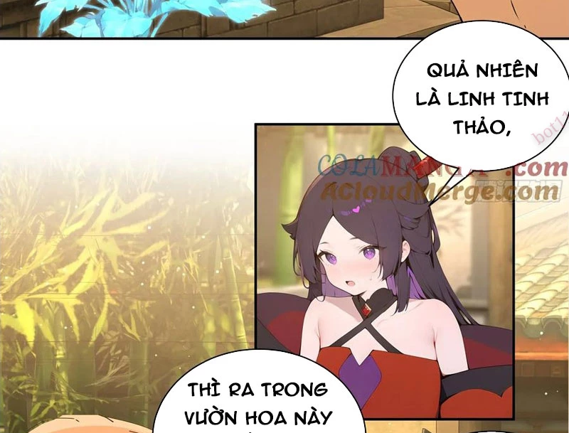 Bách Thê Phổ: Thánh nữ đều gọi ta là phu quân Chapter 52 - 68