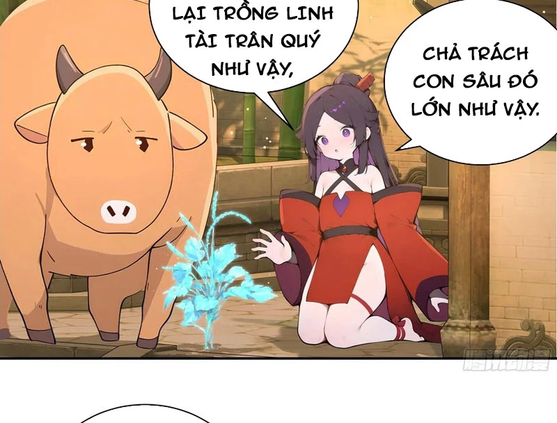 Bách Thê Phổ: Thánh nữ đều gọi ta là phu quân Chapter 52 - 69