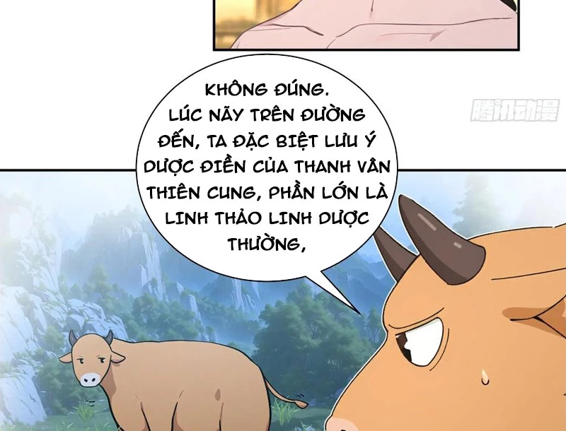 Bách Thê Phổ: Thánh nữ đều gọi ta là phu quân Chapter 52 - 72