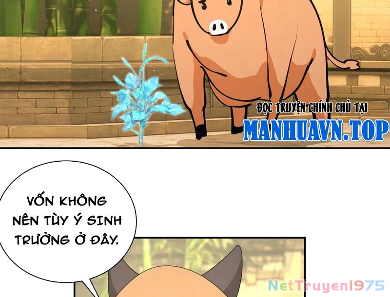 Bách Thê Phổ: Thánh nữ đều gọi ta là phu quân Chapter 52 - 74