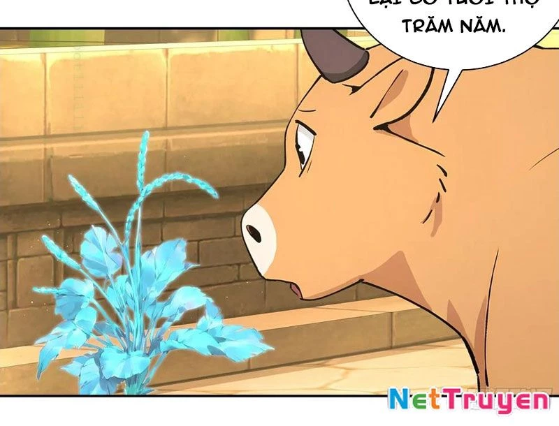 Bách Thê Phổ: Thánh nữ đều gọi ta là phu quân Chapter 52 - 76