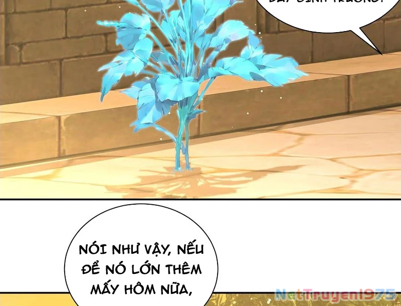 Bách Thê Phổ: Thánh nữ đều gọi ta là phu quân Chapter 52 - 78