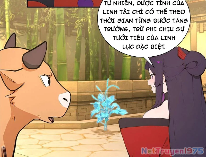 Bách Thê Phổ: Thánh nữ đều gọi ta là phu quân Chapter 52 - 82