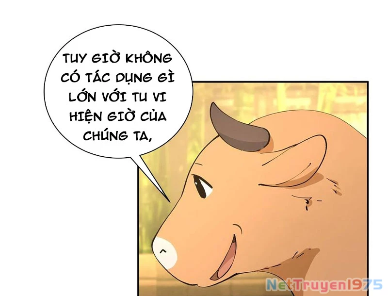 Bách Thê Phổ: Thánh nữ đều gọi ta là phu quân Chapter 52 - 89