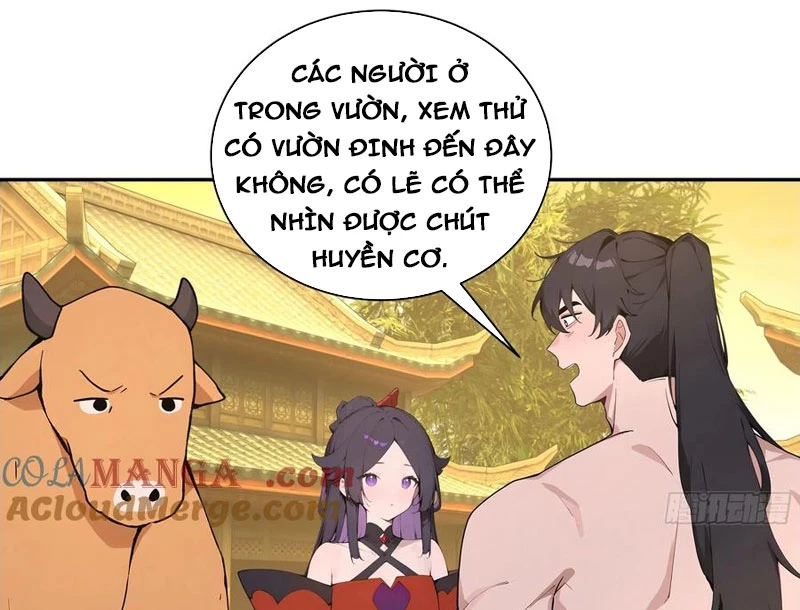 Bách Thê Phổ: Thánh nữ đều gọi ta là phu quân Chapter 52 - 107