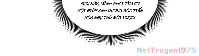Đệ Nhất Ngự Thú Sư Chapter 57 - 72