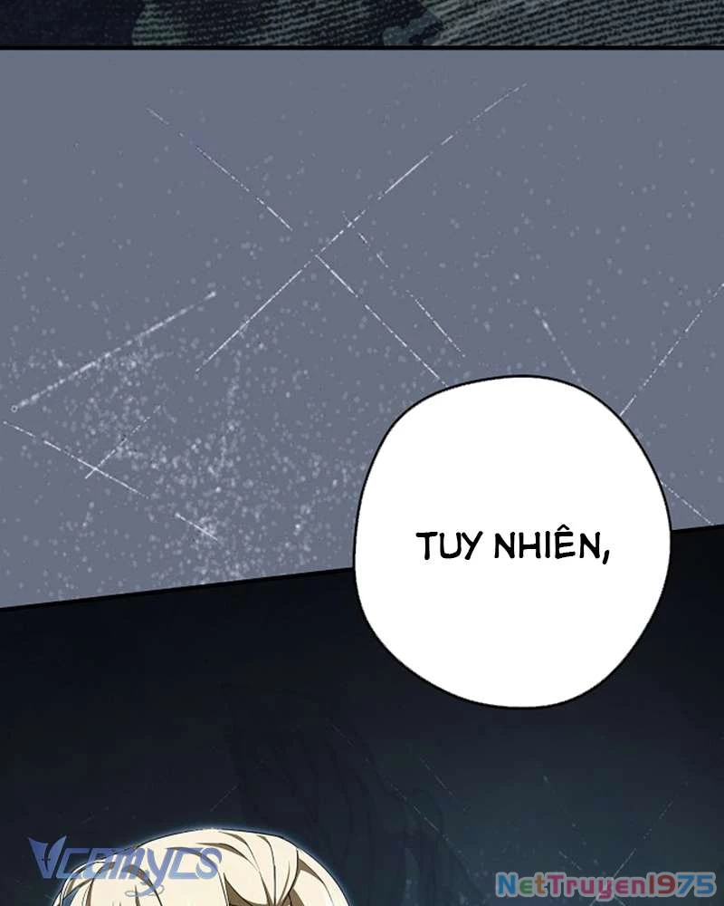 Các Nam Chính Đã Bị Nữ Phụ Cướp Mất Chapter 47 - 81