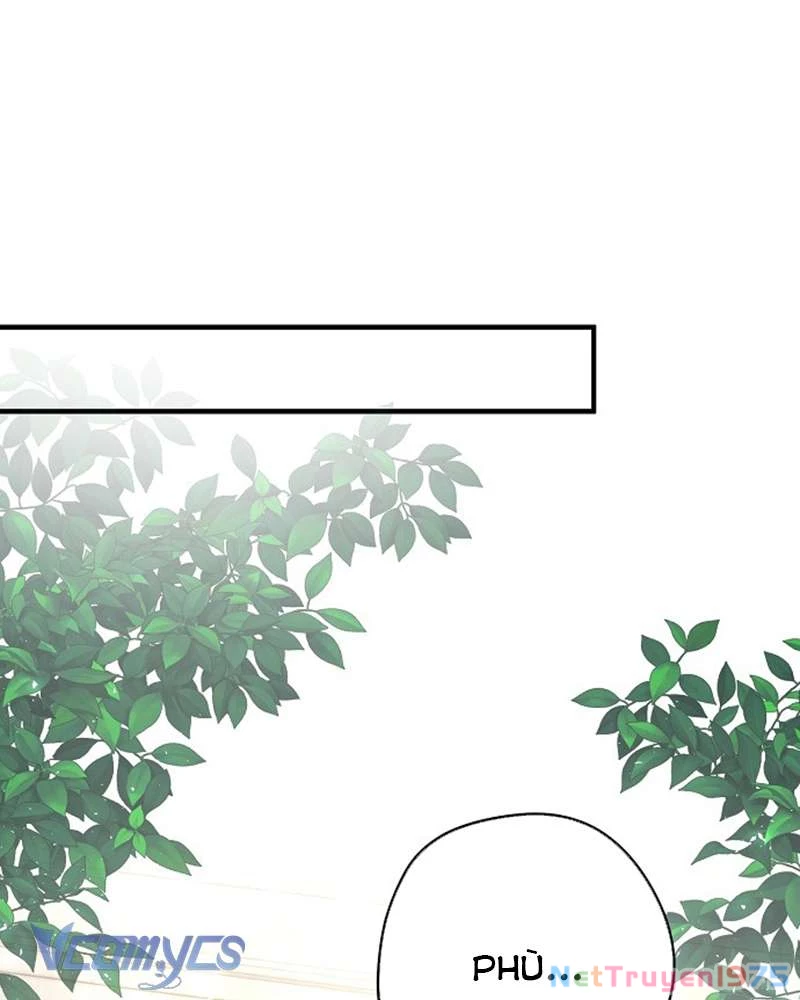 Các Nam Chính Đã Bị Nữ Phụ Cướp Mất Chapter 47 - 109