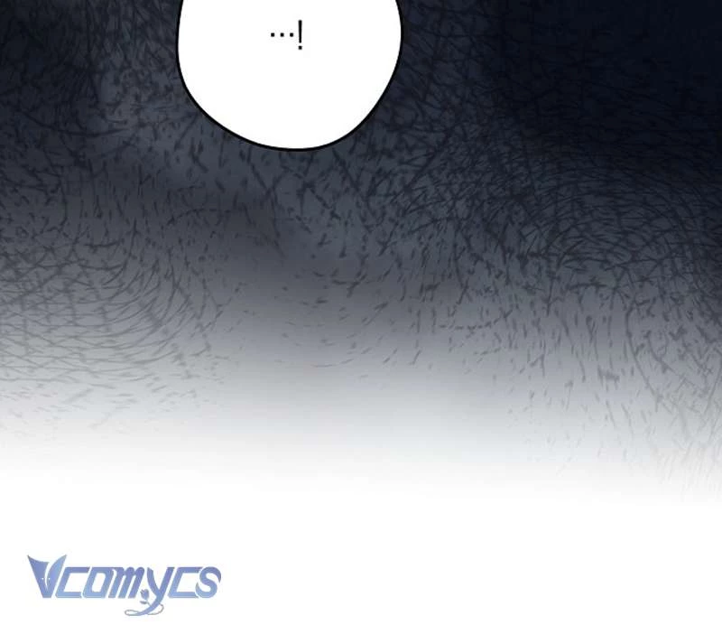 Các Nam Chính Đã Bị Nữ Phụ Cướp Mất Chapter 47 - 128