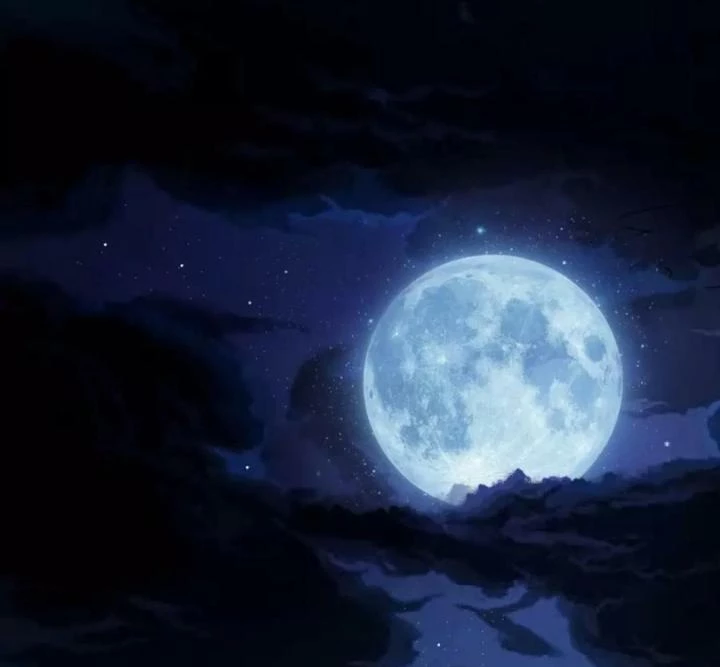 Nhất Đỉnh Vương Phi Chapter 14 - 31
