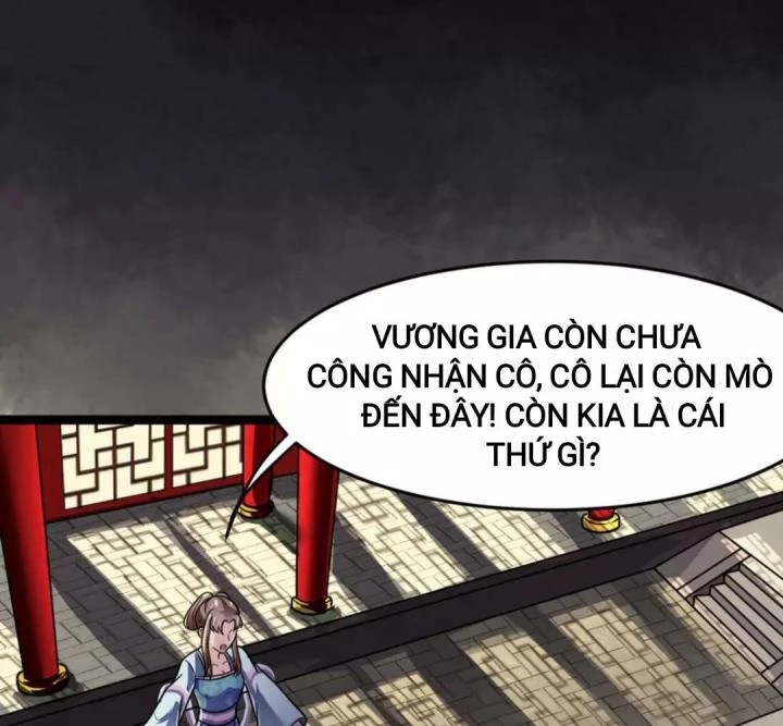 Nhất Đỉnh Vương Phi Chapter 14 - 41