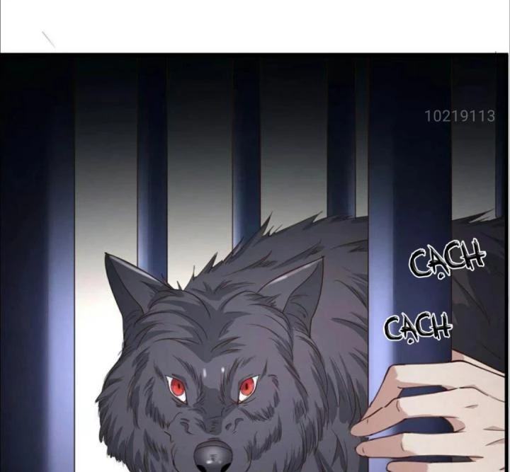 Nhất Đỉnh Vương Phi Chapter 83 - 20