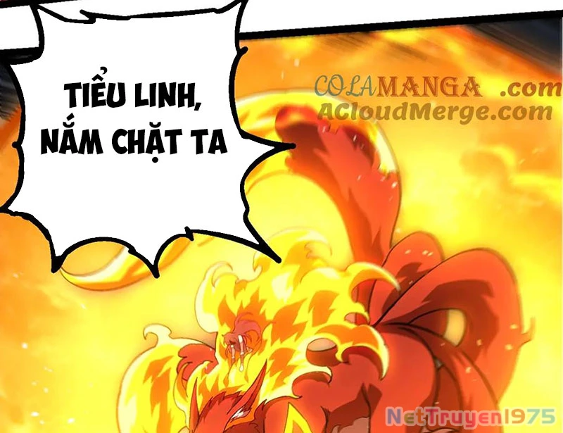 Chuyển Sinh Thành Liễu Đột Biến Chapter 371 - 58