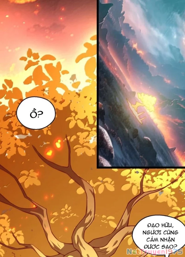 Hảo Đồ Nhi Hãy Tha Cho Vi Sư Chapter 350 - 35