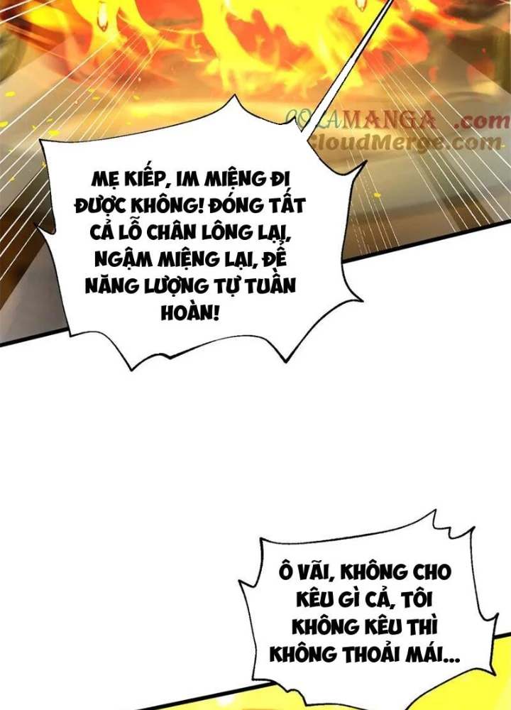 Toàn Cầu Cao Võ Chapter 310 - 85