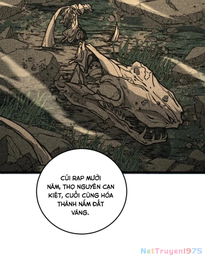 Lão xà tu tiên truyện Chapter 39 - 85