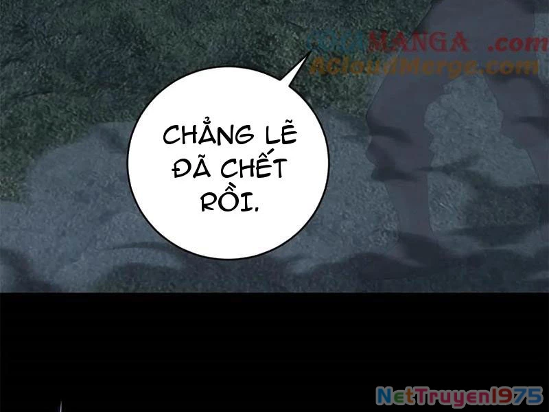 Ta Bán Hàng Vỉa Hè Ở Mạt Thế Chapter 47 - 100